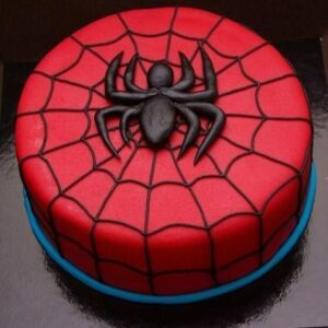 Spider web Cake